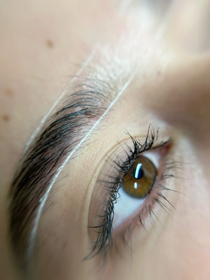 Diseño de cejas